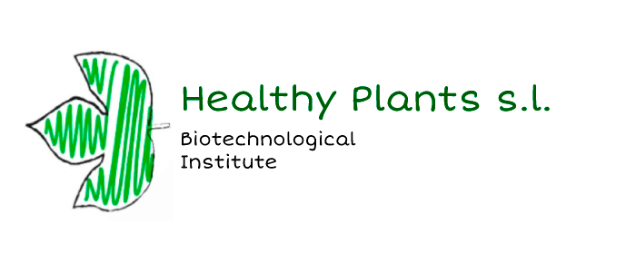  Healthy Plants León